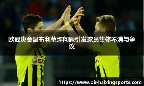 欧冠决赛温布利草坪问题引发球员集体不满与争议